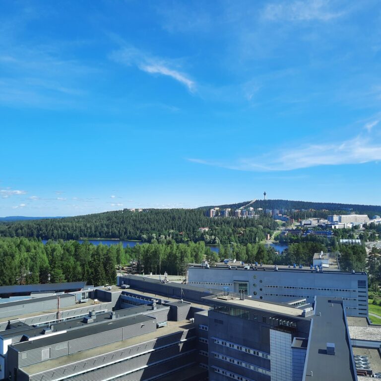 kauppakamarin kesan aukiolot